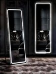 Chic LED Standing Mirror – HD Imported Belgium & HiLight Illumination
