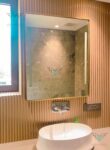 Light mirrors with defogger