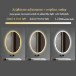 Kolby Frosted Edge Oval 3-Color LED Mirror